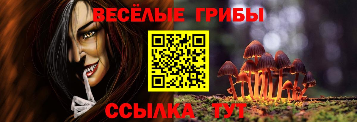 Галлюциногенные грибы Cubensis  Псилоцибиновые грибы прущие грибы  Вход с VPN  Карасук 